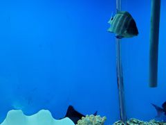 -秦皇岛新澳海底世界