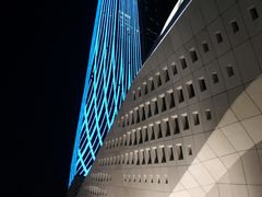 -南京眼步行桥