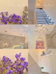 -FUMEIHUI·科技美肤·美体SPA