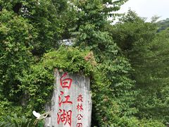 -广州白江湖森林公园