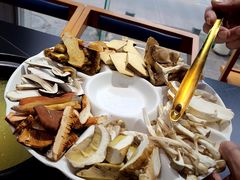 -野菌皇海景野生菌火锅(滨海大道店)