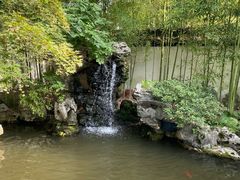 -上海醉白池公园