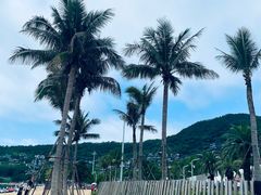 -大梅沙海滨公园