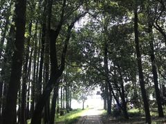 -东湖落雁景区
