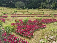 景点-广州市石门国家森林公园