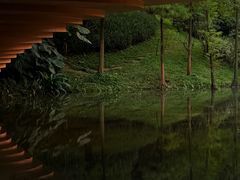 -云溪植物园