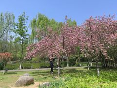 -西安市长乐公园