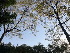 -晓港公园