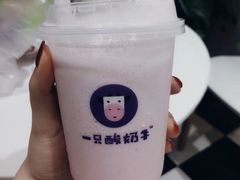 -一只酸奶牛(建政店)