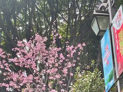 -乌山风景区