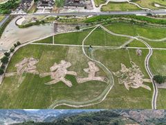-福建土楼（华安）旅游区•大地土楼群