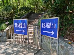 -上海佘山国家森林公园西佘山园