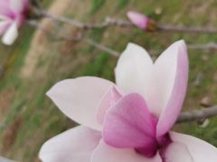 -大蜀山国家森林公园