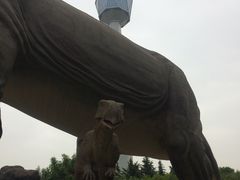 -陕西自然博物馆