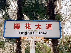 -武汉大学-樱园