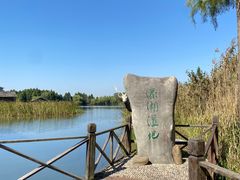 -溱湖国家湿地公园
