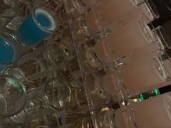 -Helens海伦司小酒馆(津湾广场店)