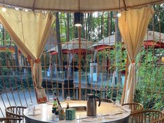 -二荆条·蜀鲜汇城市森林火锅