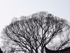 -拙政园