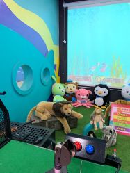 -宝贝王(天津滨海店)