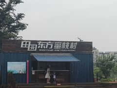 -田园东方蜜桃村的田野营地