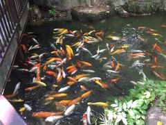 -珠海圆明新园
