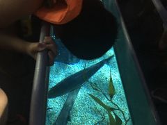 -暹罗海洋世界