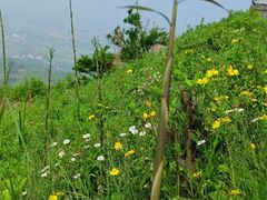-冶父山国家森林公园