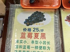 -马陆小张葡萄园农家乐