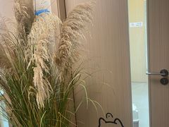 -阿荣24H宠物医院·综合型转诊中心·CT·核磁影像中心