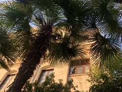 -Big House当代艺术中心