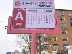 -桃花堤公园