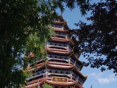 -铁山坪森林公园