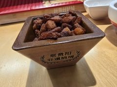 -丝恋丝娃娃(金阳国贸店)