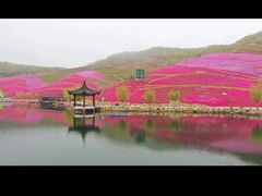 -威海华夏城景区