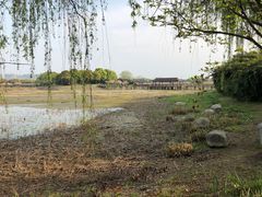 -荷塘月色湿地公园·向阳花洲
