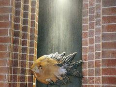 -永安鱼庄·镇江菜(东吴路店)