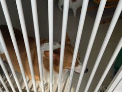 -平行世界·猫咖(首经贸店)