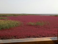 -红海滩国家风景廊道