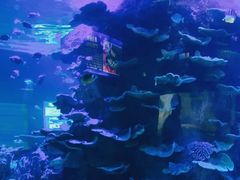 -左海海底世界