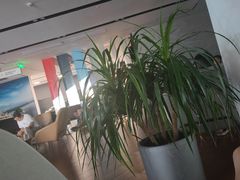 -重庆宝渝宝马