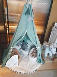 点击看大图 -baby bella小贝拉母婴护理中心(杭州凯宾斯基店)