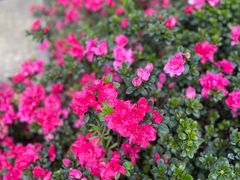 -铜锣山矿山公园