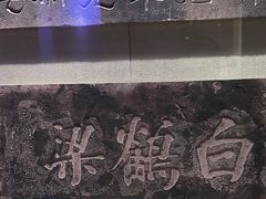 -白鹤梁水下博物馆