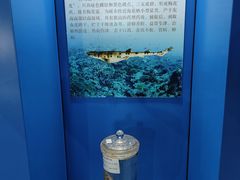 -上海海洋大学鱼文化博物馆(军工路校区)