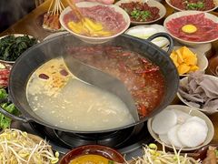 -阳阳老火锅(小南门店)