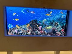 -中国（海南）南海博物馆
