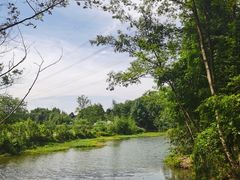 -桤木河湿地公园