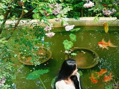 -铁炉农家菜馆