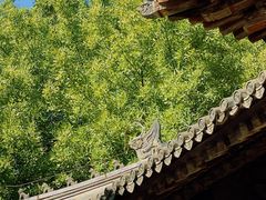 -嵩祝寺及智珠寺